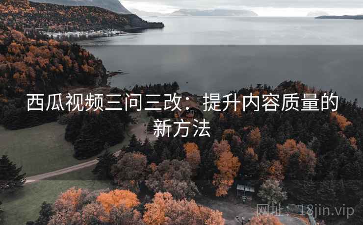 西瓜视频三问三改:提升内容质量的新方法 第2张 西瓜视频三问三改:提升内容质量的新方法 第2张
