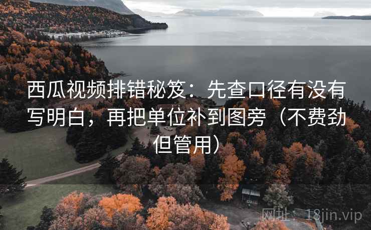 西瓜视频排错秘笈：先查口径有没有写明白，再把单位补到图旁（不费劲但管用）