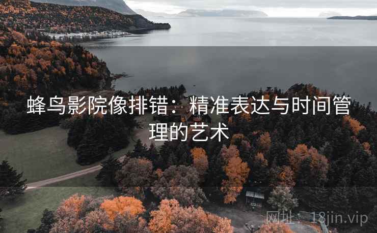 蜂鸟影院像排错：精准表达与时间管理的艺术